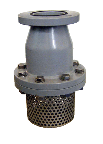 Foot valve